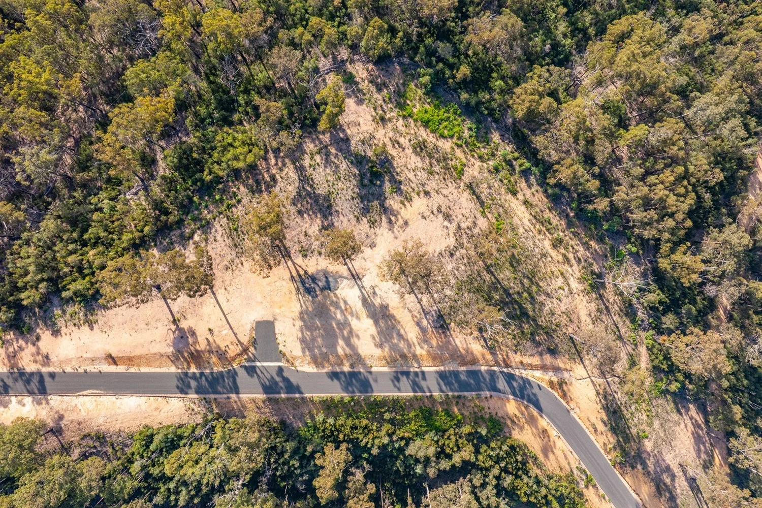 Additional image 10 of 156 Silver Top Crescent, NULLICA Via, Eden NSW 2551