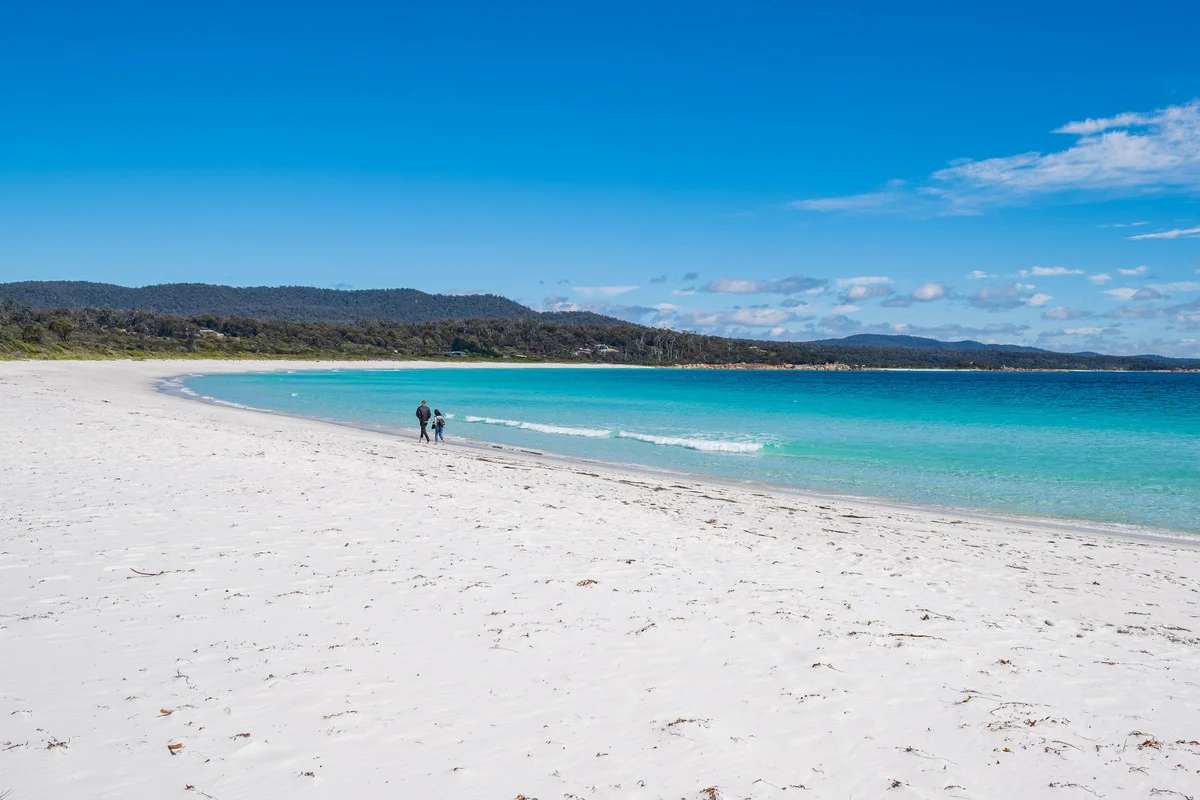 Additional image 19 of 12 Wedge Court, Binalong Bay TAS 7216