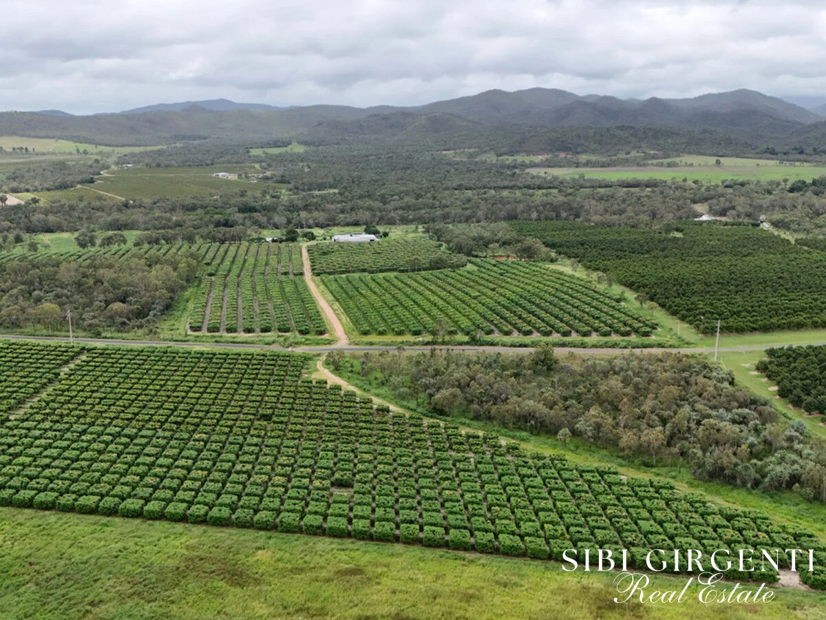 Additional image 35 of 227 Top Eureka, Dimbulah QLD 4872