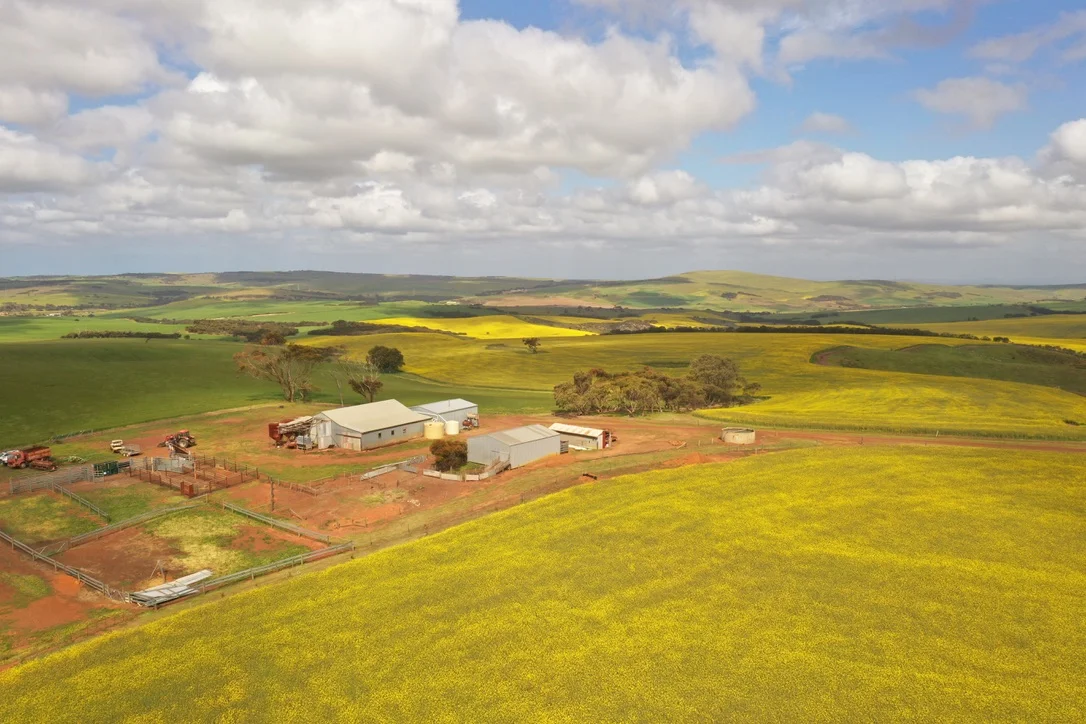 251 Reservoir Drive, Whites Flat SA 5607