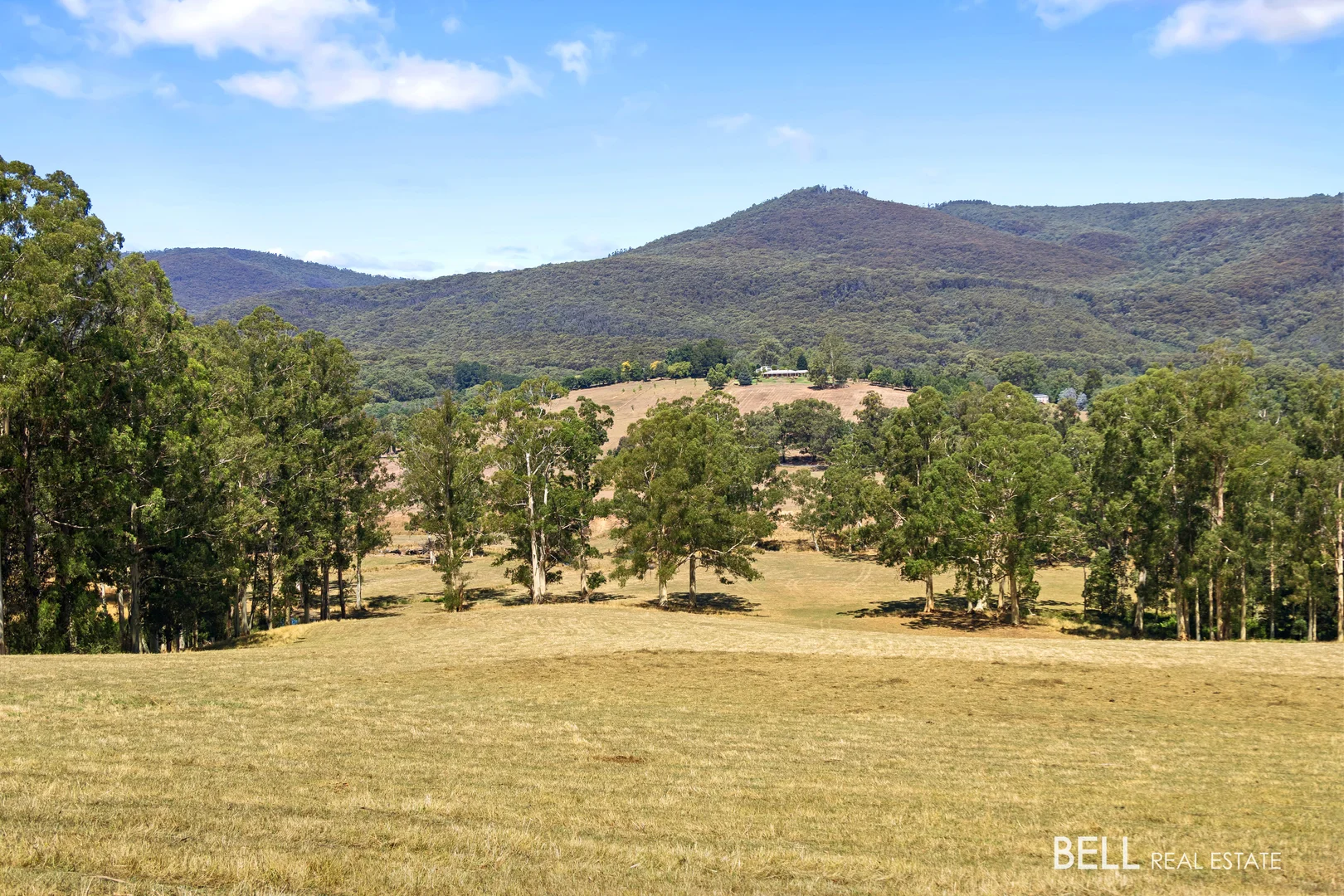 Additional image 15 of 1115 Little Yarra Road, Three Bridges VIC 3797