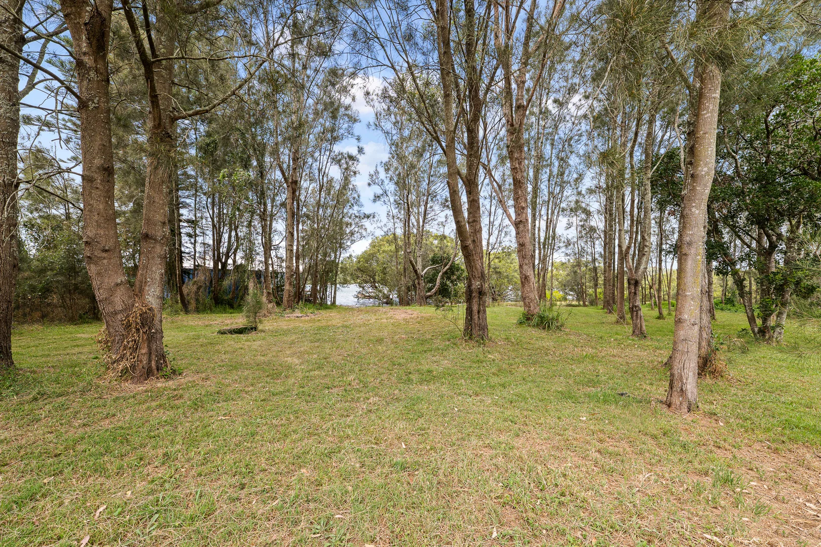 Additional image 22 of 364 Moffats Road, Swan Bay NSW 2324