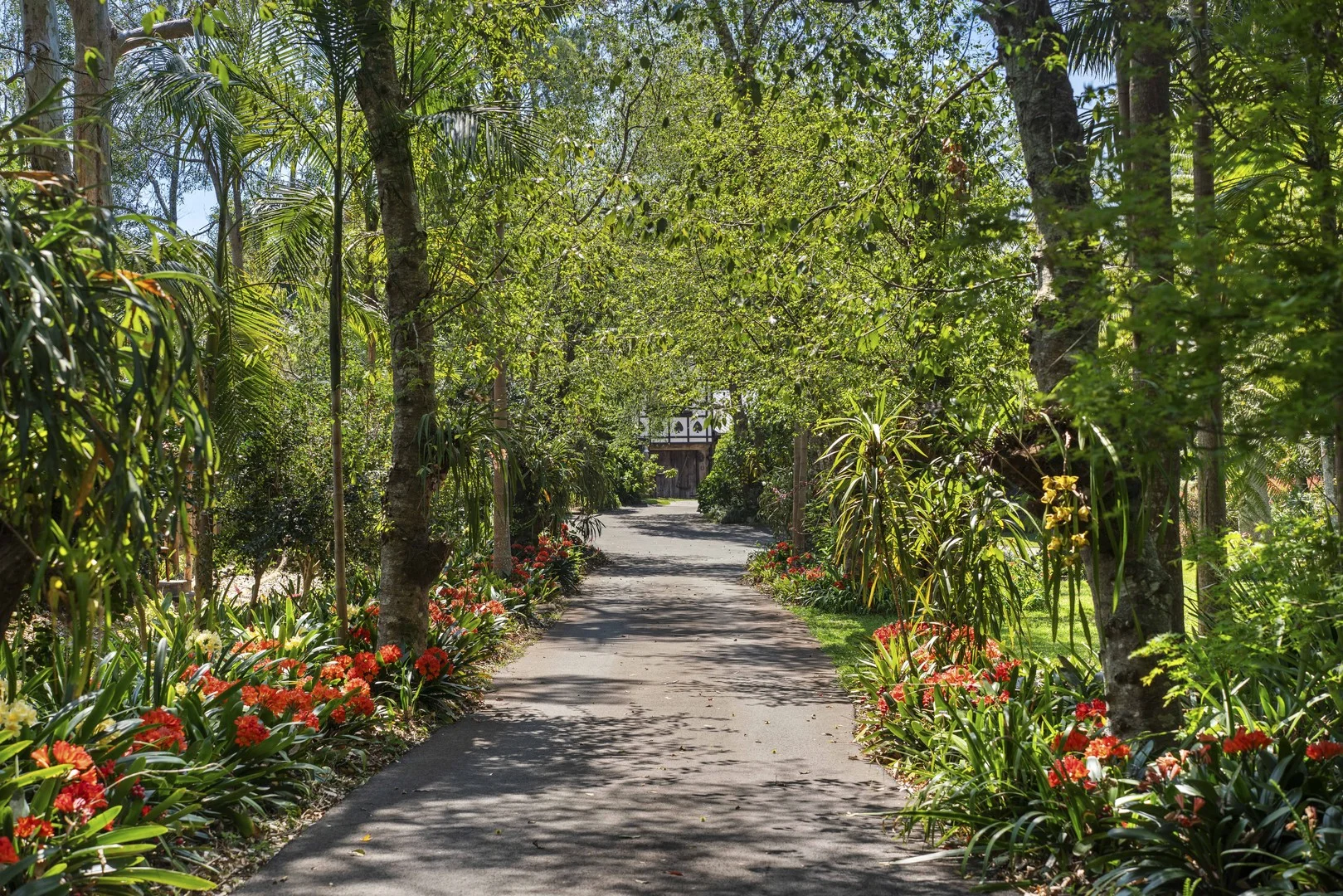 Additional image 10 of Tamborine Mountain QLD 4272