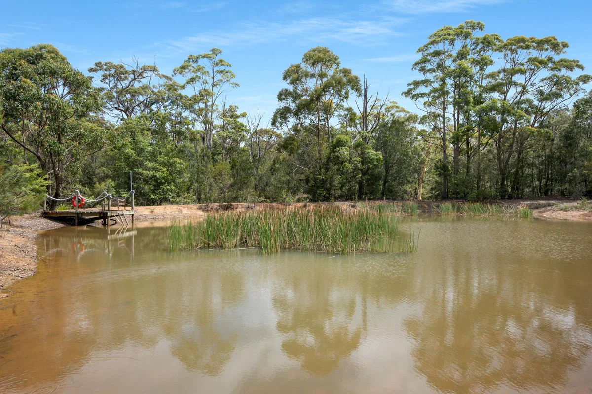 Additional image 17 of 153 Advance Road, Sussex Inlet NSW 2540