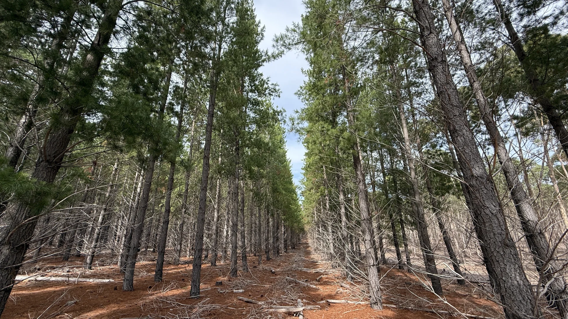 Additional image 18 of Lot 1 Jim Ryans Road, Edenhope VIC 3318