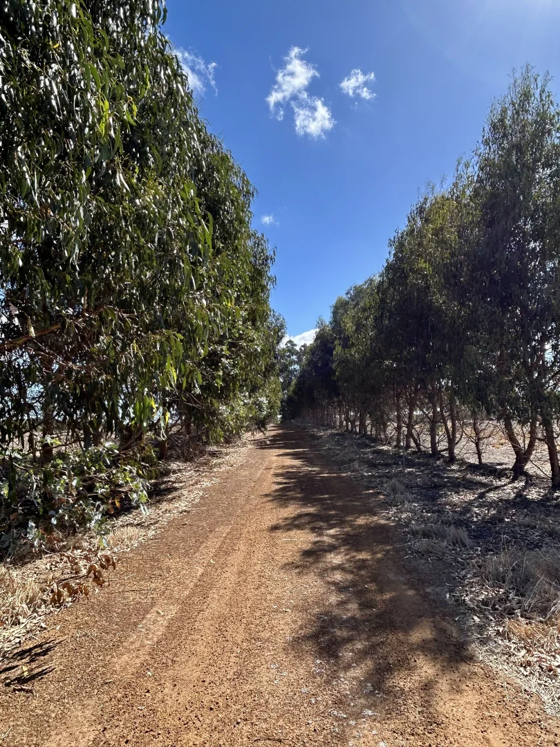 Additional image 16 of 647 Deep Creek Road, Kalgan WA 6330