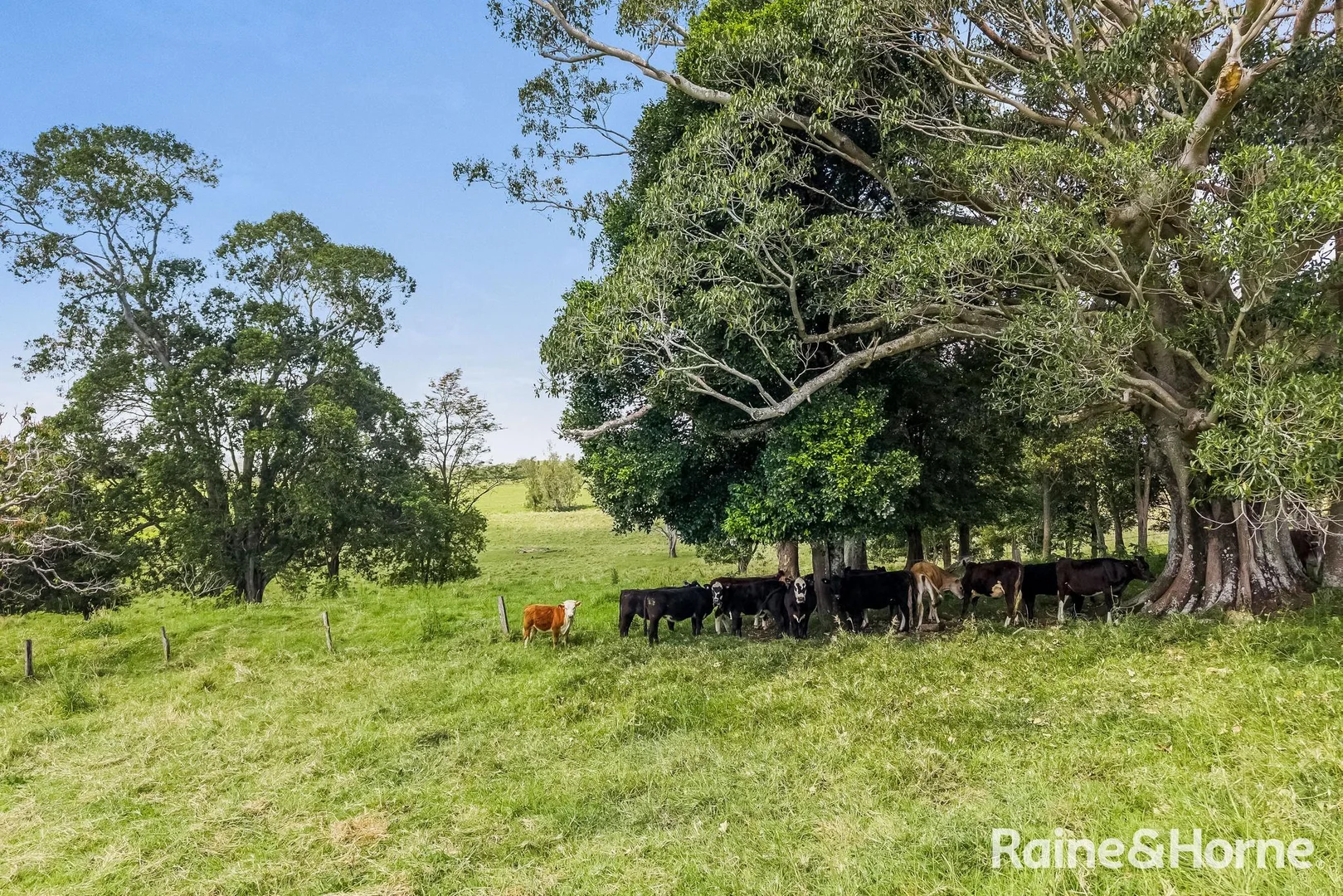 Additional image 33 of 425 Spring Grove Road, Spring Grove NSW 2470