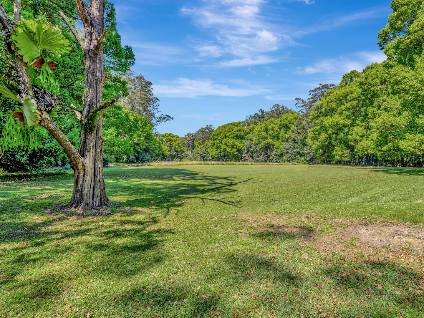 Additional image 16 of 923 Orara Way, Nana Glen NSW 2450