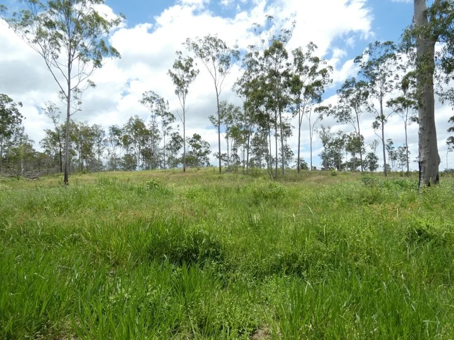 Additional image 17 of Lot 43 Moolyung Road, Waterloo QLD 4673