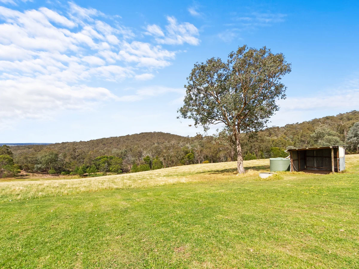 Additional image 23 of 259 Millers Road, Maffra West Upper VIC 3859