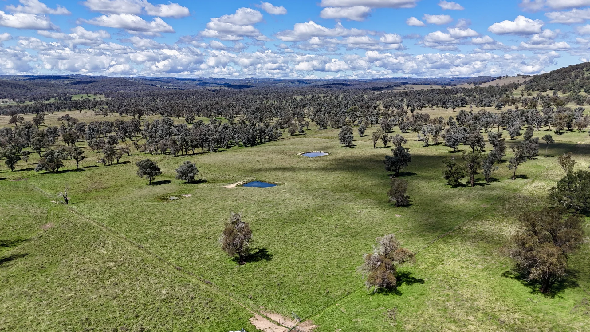 Additional image 7 of 3256 Niangala Rd, Walcha NSW 2354