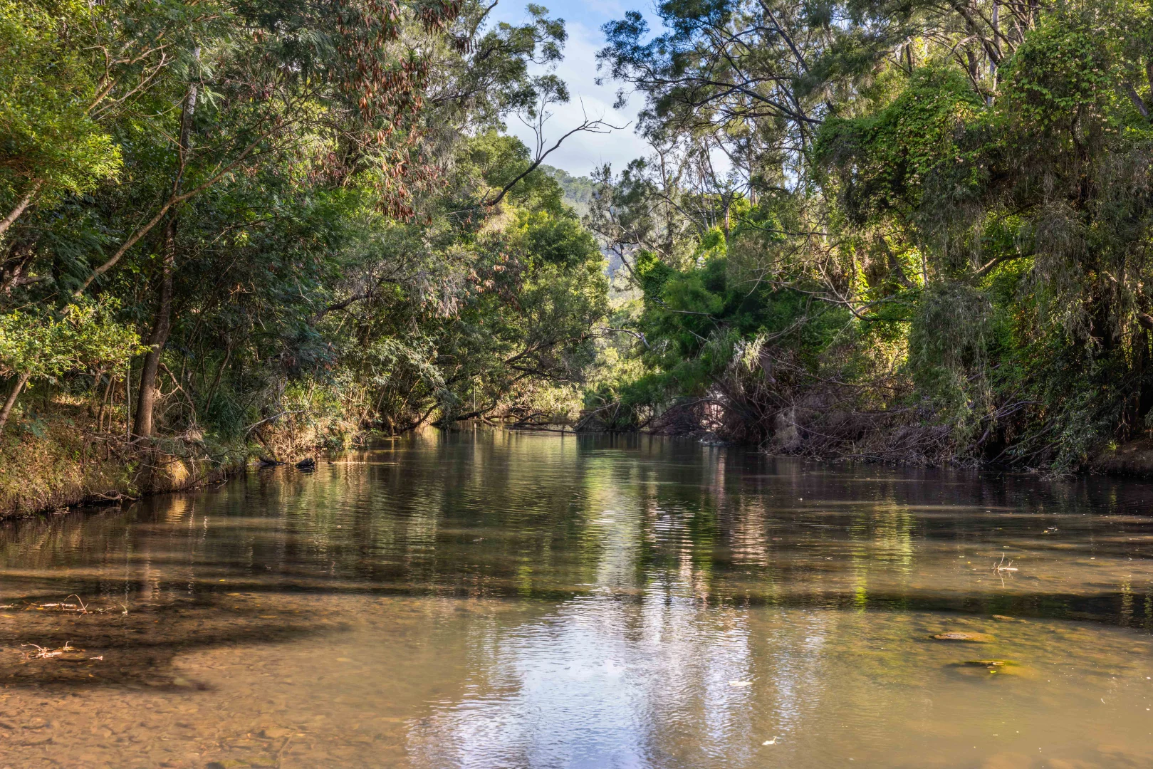 Additional image 19 of 704 Lamington National Park Road, Canungra QLD 4275