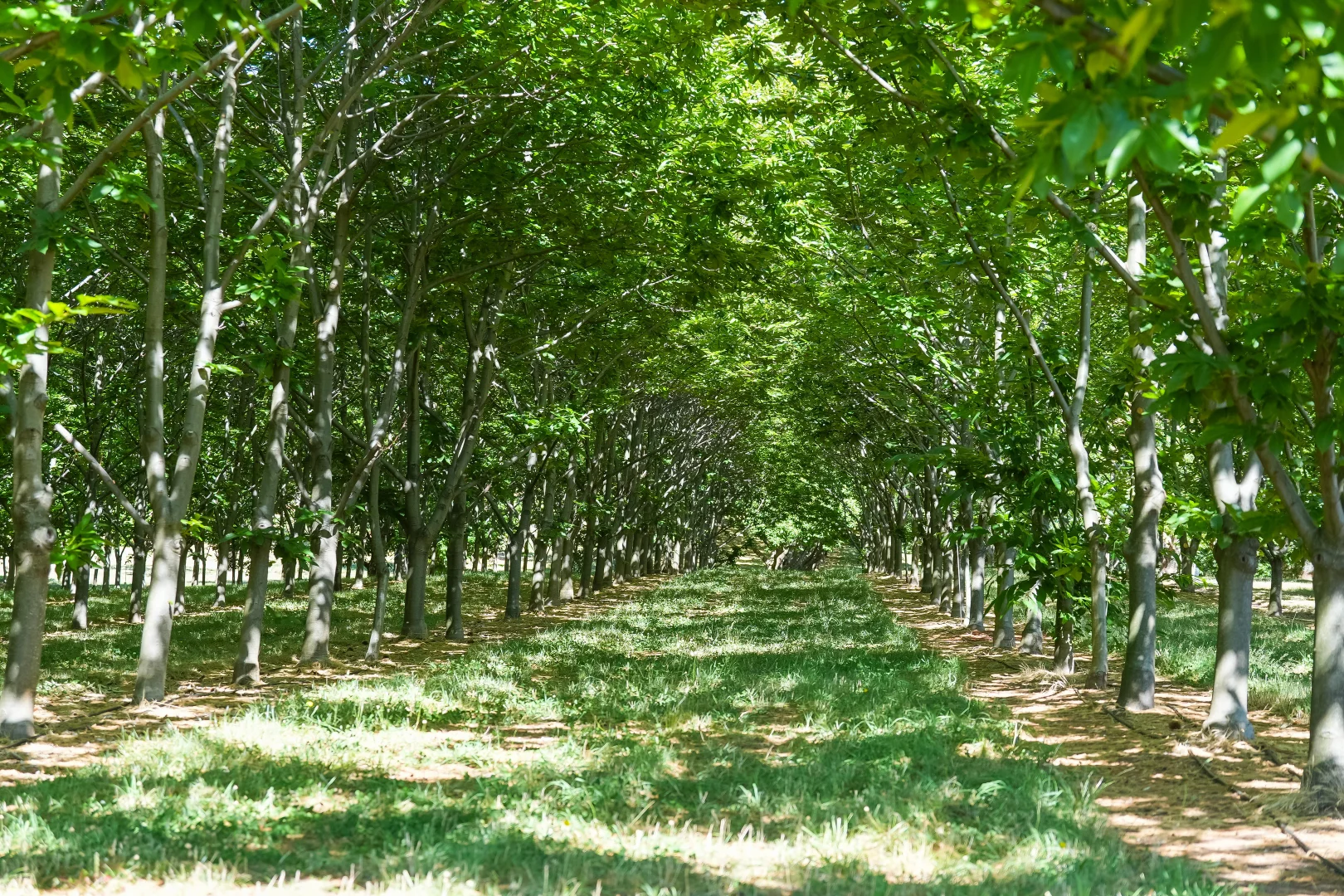 Additional image 34 of 192 Myrtleford-Stanley Road, Stanley VIC 3747