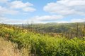 Additional image 10 of Pine Tree Ln, Berry Creek, CA, 95916