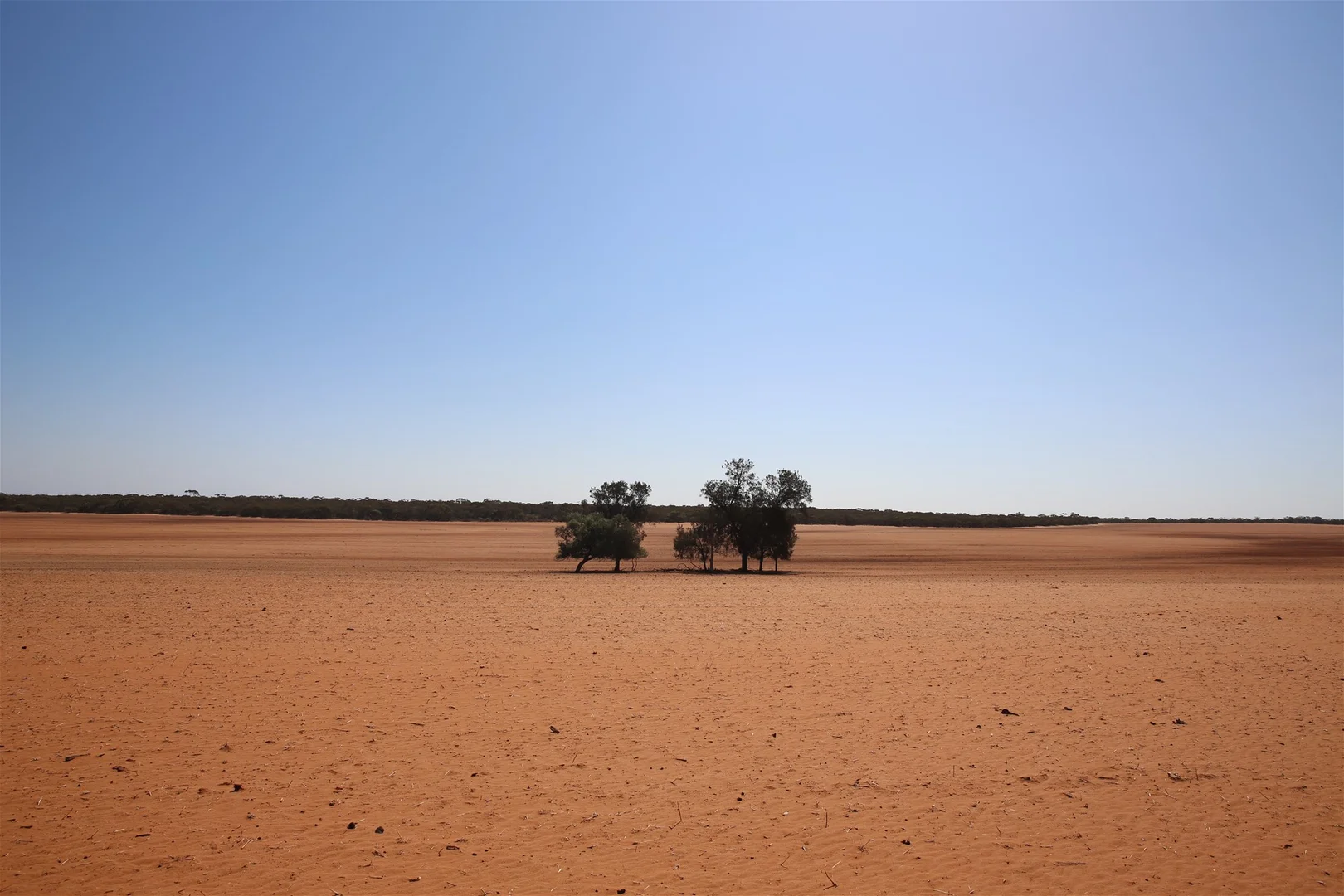 Additional image 19 of Monak NSW 2738