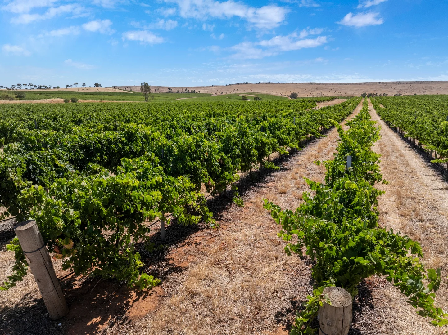 Additional image 36 of Lot 20 Spring Farm Road, Spring Farm SA 5453