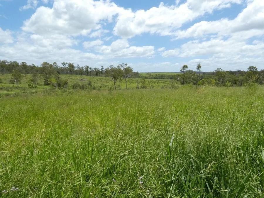 Additional image 32 of Lot 43 Moolyung Road, Waterloo QLD 4673