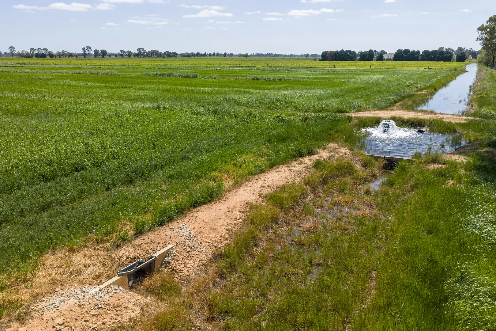 Additional image 10 of 1563 Scobie Road, Tongala VIC 3621