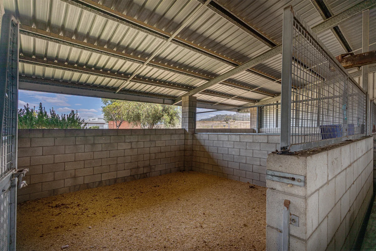 Additional image 10 of 123 Steger Road, Charlton QLD 4350