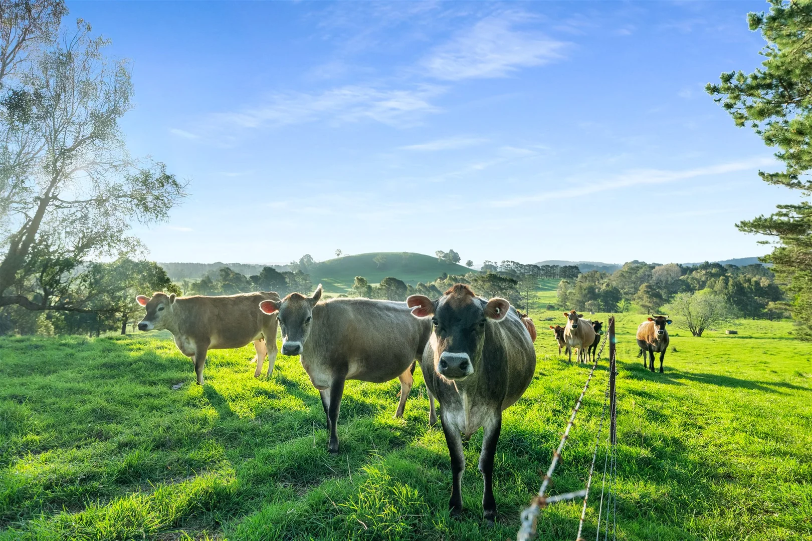 Additional image 18 of 790 Kangaloon Road, Glenquarry NSW 2576