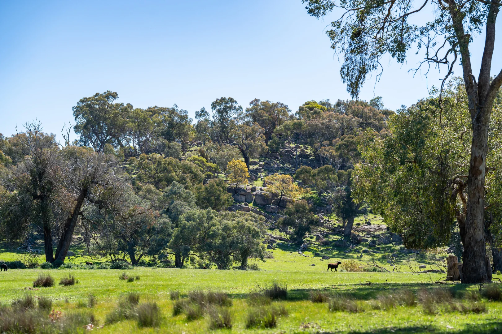 Additional image 13 of . Sanderson Road, Springhurst VIC 3682