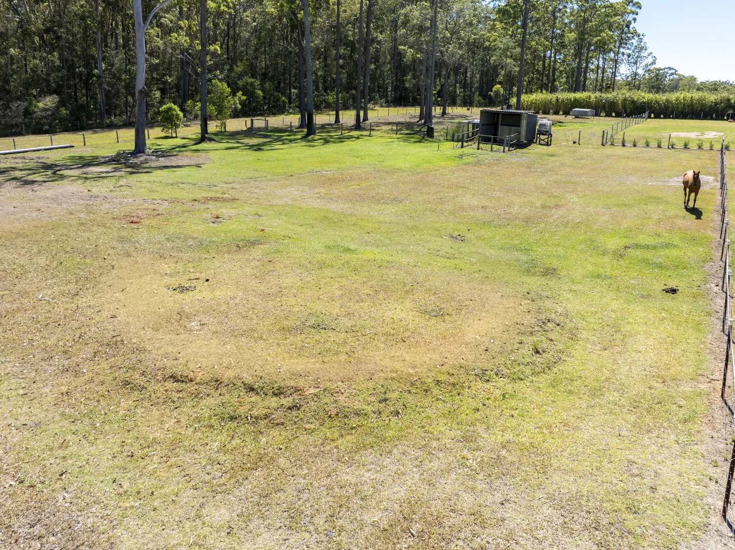 Additional image 21 of 33 Kingaree Place, King Creek NSW 2446