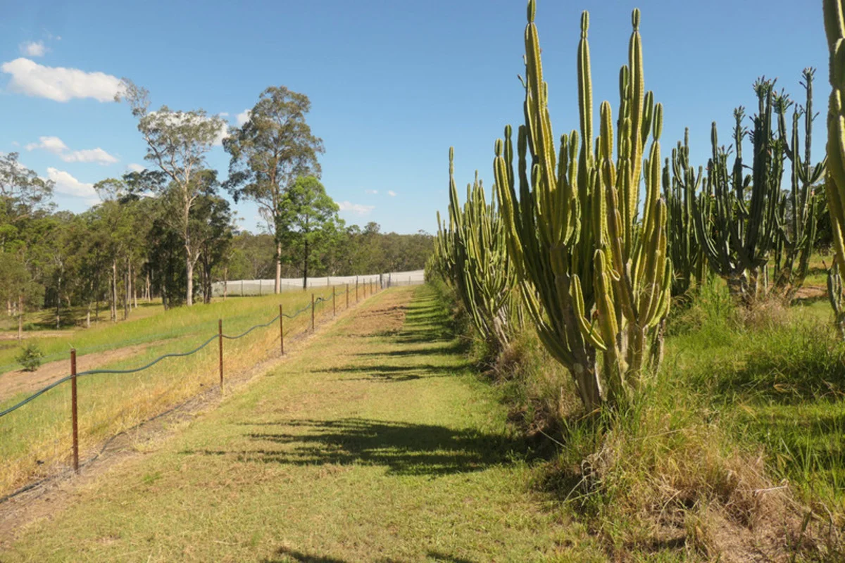 Additional image 8 of Bulldog NSW 2469