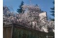 Additional image 34 of 8129 NE 131st St, Kirkland, WA, 98034