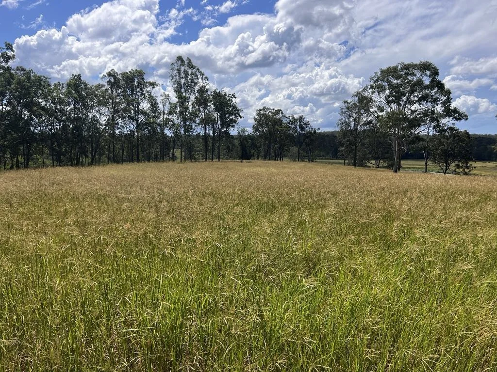 Additional image 23 of 1139 Old Dyraaba Rd, Lower Dyraaba NSW 2470