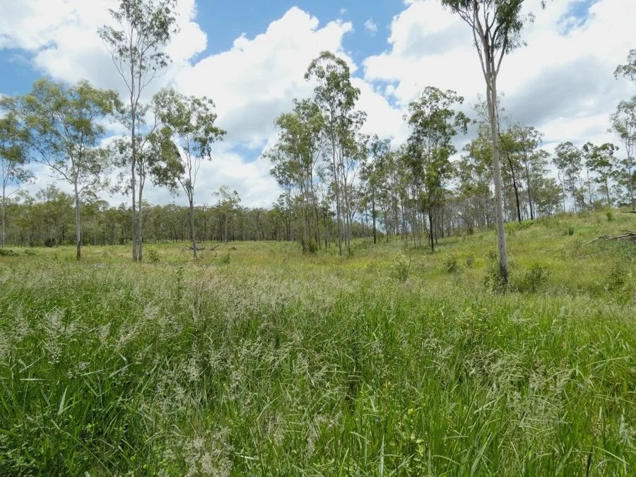 Additional image 21 of Lot 43 Moolyung Road, Waterloo QLD 4673