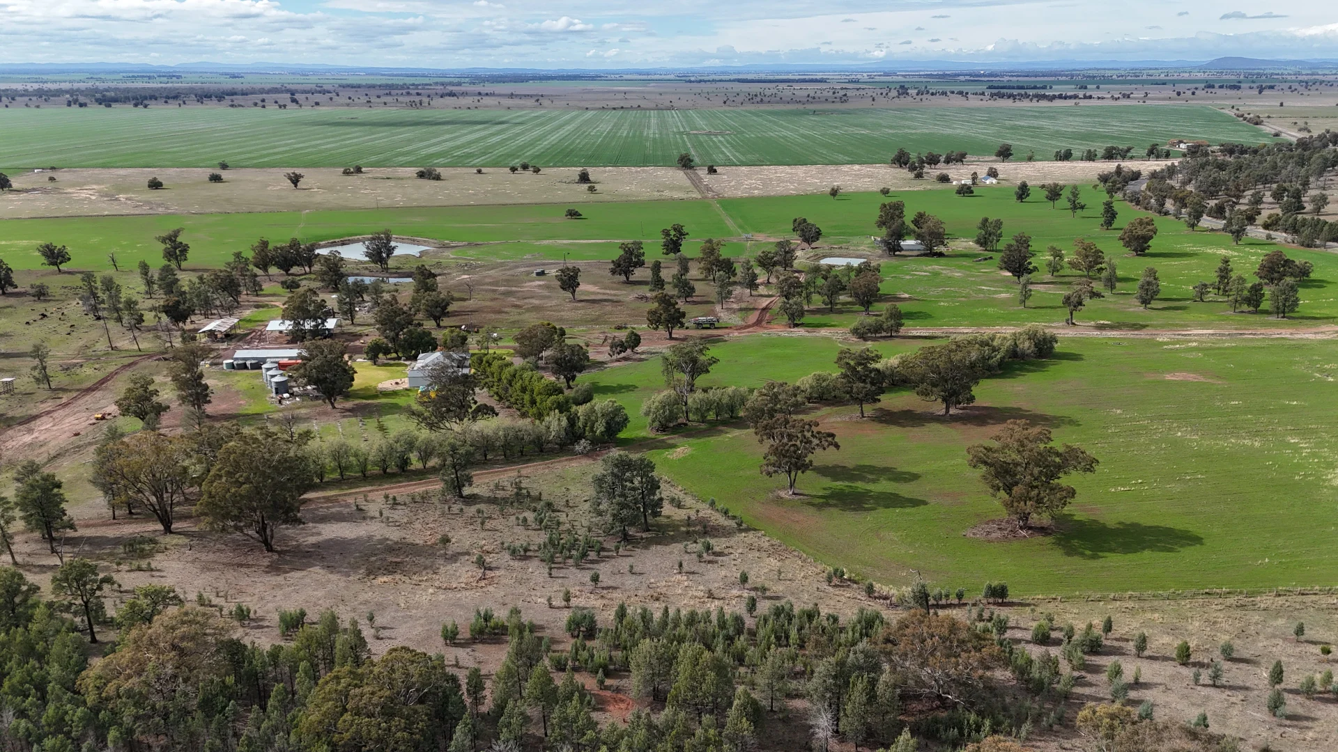 Additional image 14 of 877 Mount Tallabung Road, Forbes NSW 2871