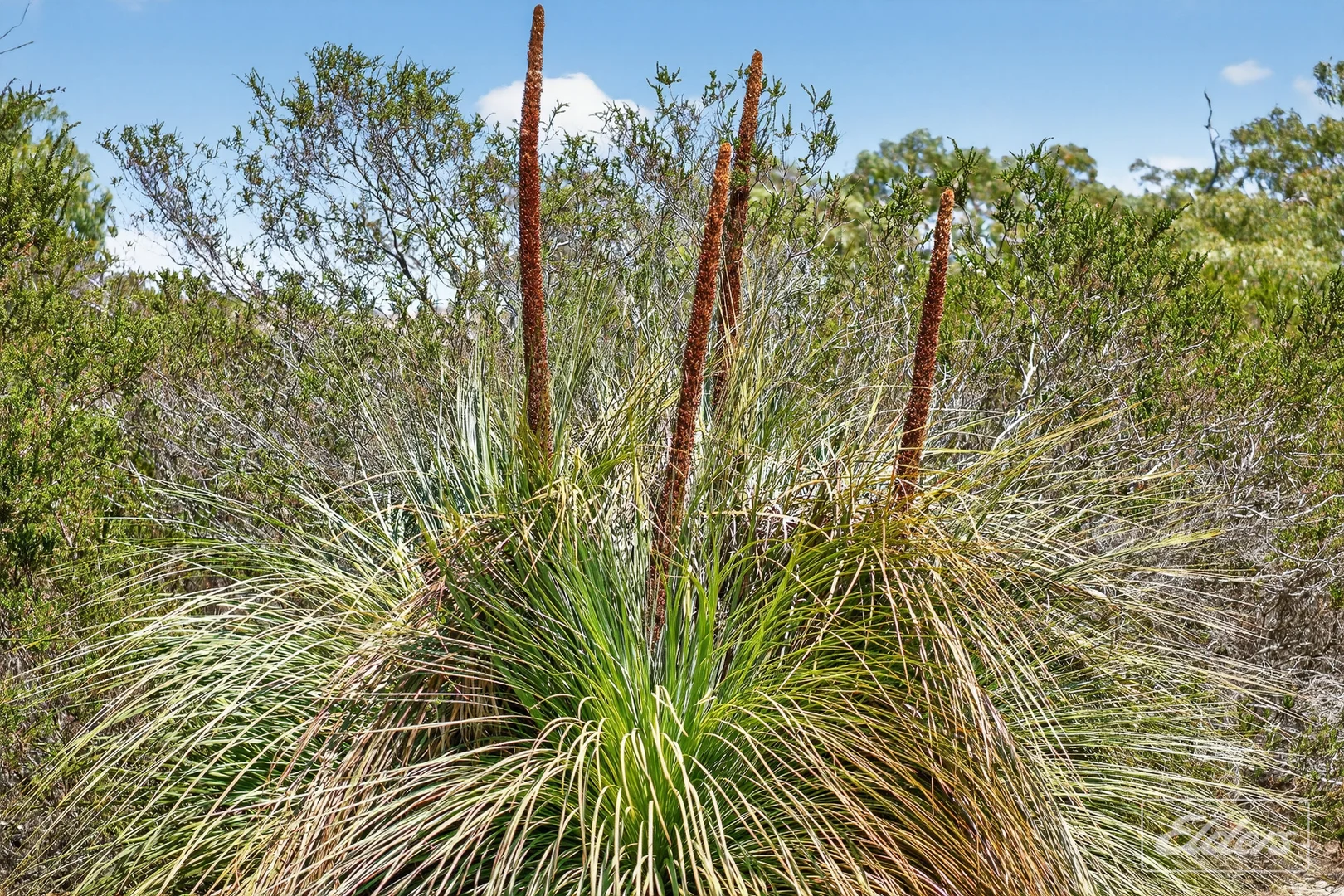 Additional image 61 of 839 Signal Flat Road, Finniss SA 5255