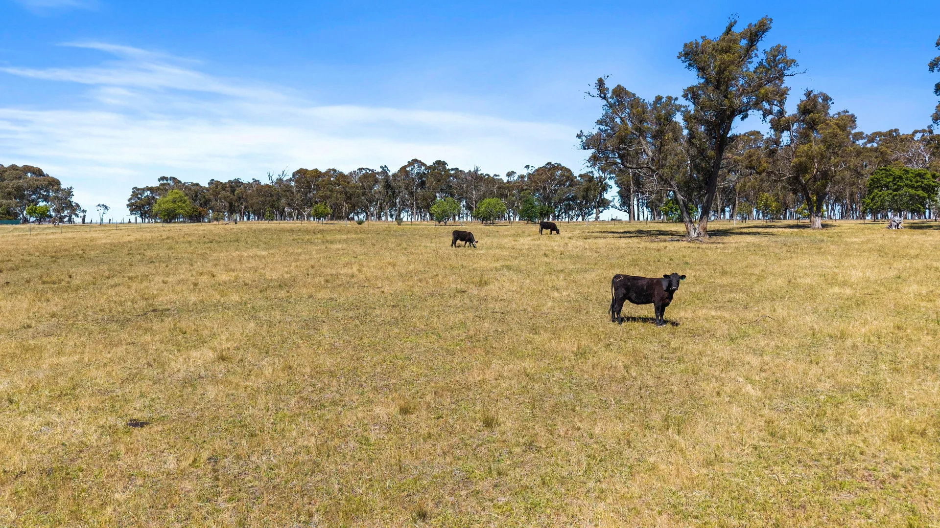 Additional image 27 of 5066 Castlereagh Highway, Round Swamp NSW 2846