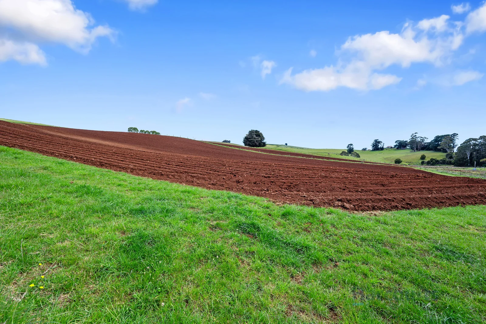 Additional image 4 of 230 Castra Road, Ulverstone TAS 7315