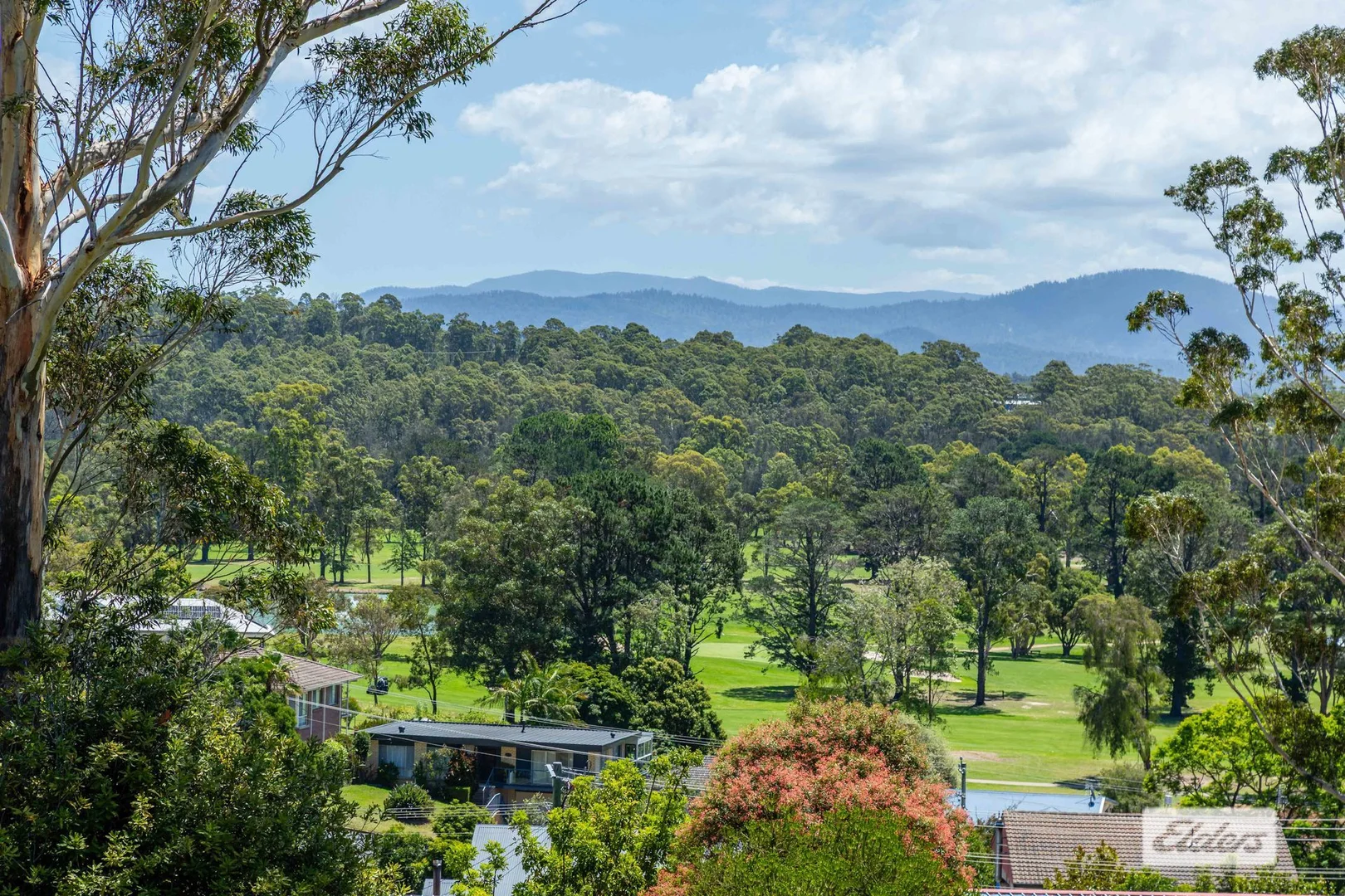 Additional image 6 of 22 Riverview Crescent, Catalina NSW 2536