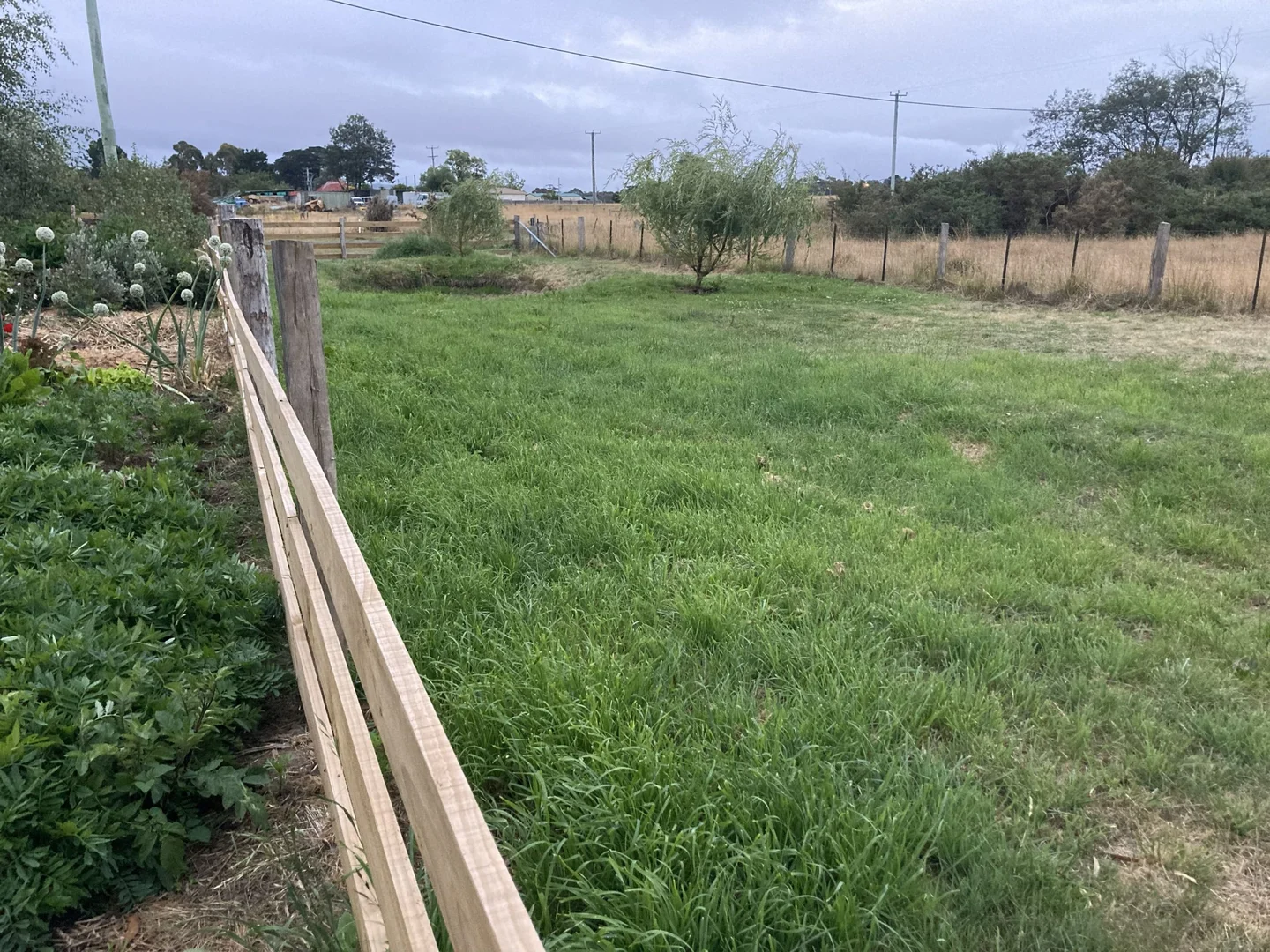 Additional image 26 of 7 Fleming Street, Fingal TAS 7214