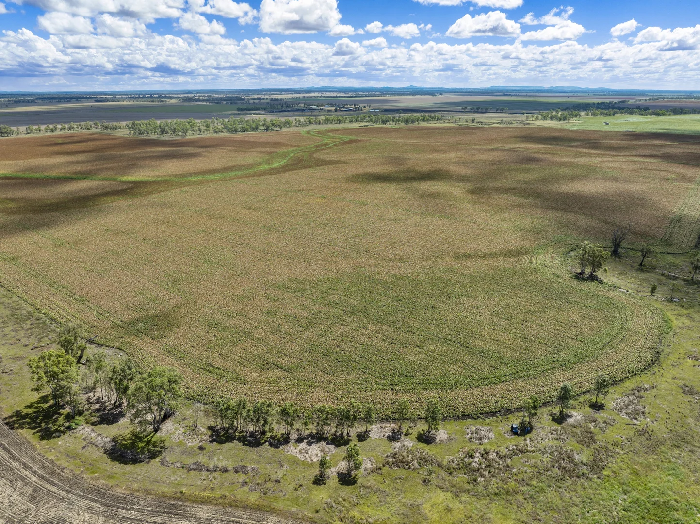 Additional image 15 of 1989 Millmerran Leyburn Road, Tummaville QLD 4352