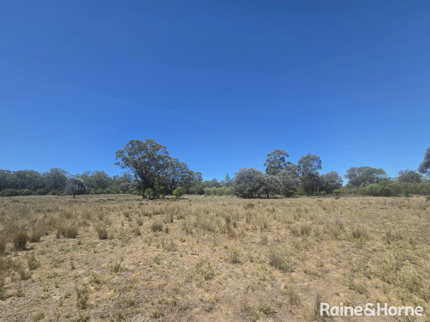 Additional image 18 of 647 Sweedmans Road, Limevale QLD 4384