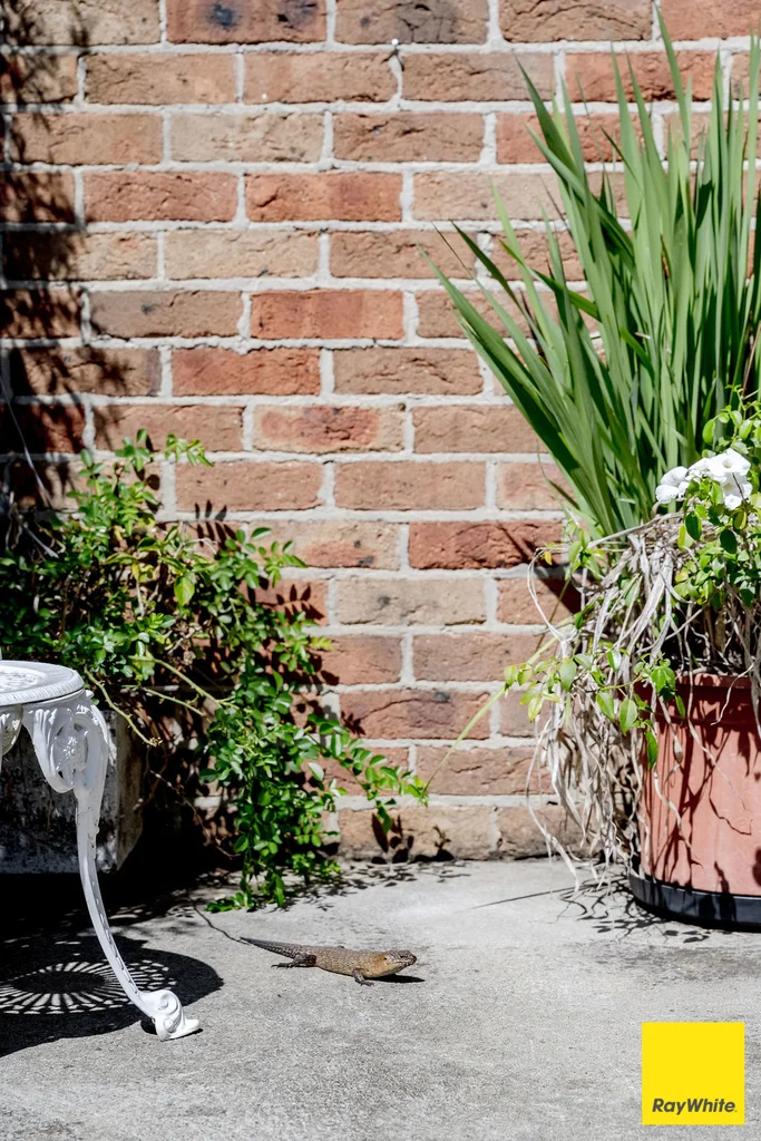 Additional image 30 of 317 Macs Reef Road, Bywong NSW 2621