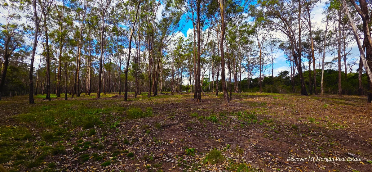 Additional image 2 of 227a Archer Road, Struck Oil QLD 4714