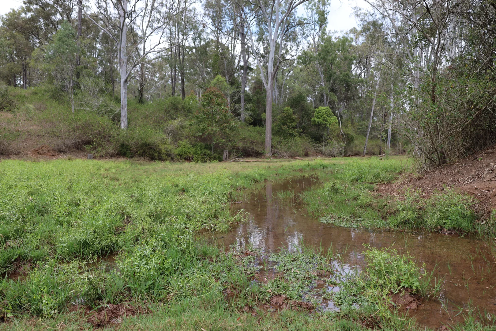 Additional image 5 of 34 Bellottis Road, Murgon QLD 4605