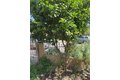 Additional image 2 of 1229 E 59th St, Long Beach, CA, 90805