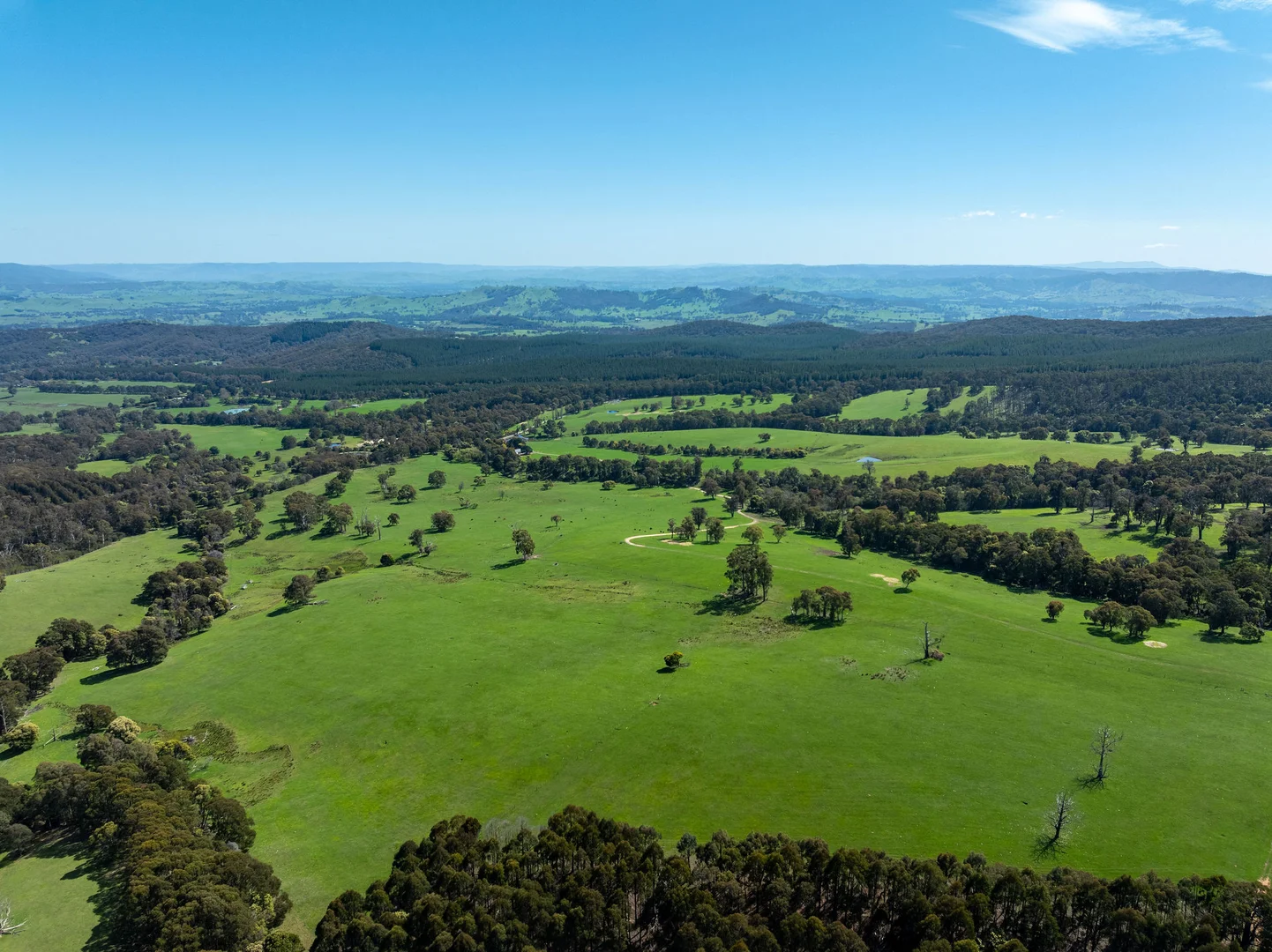 Additional image 4 of 682 Cathedral Lane, Taggerty VIC 3714