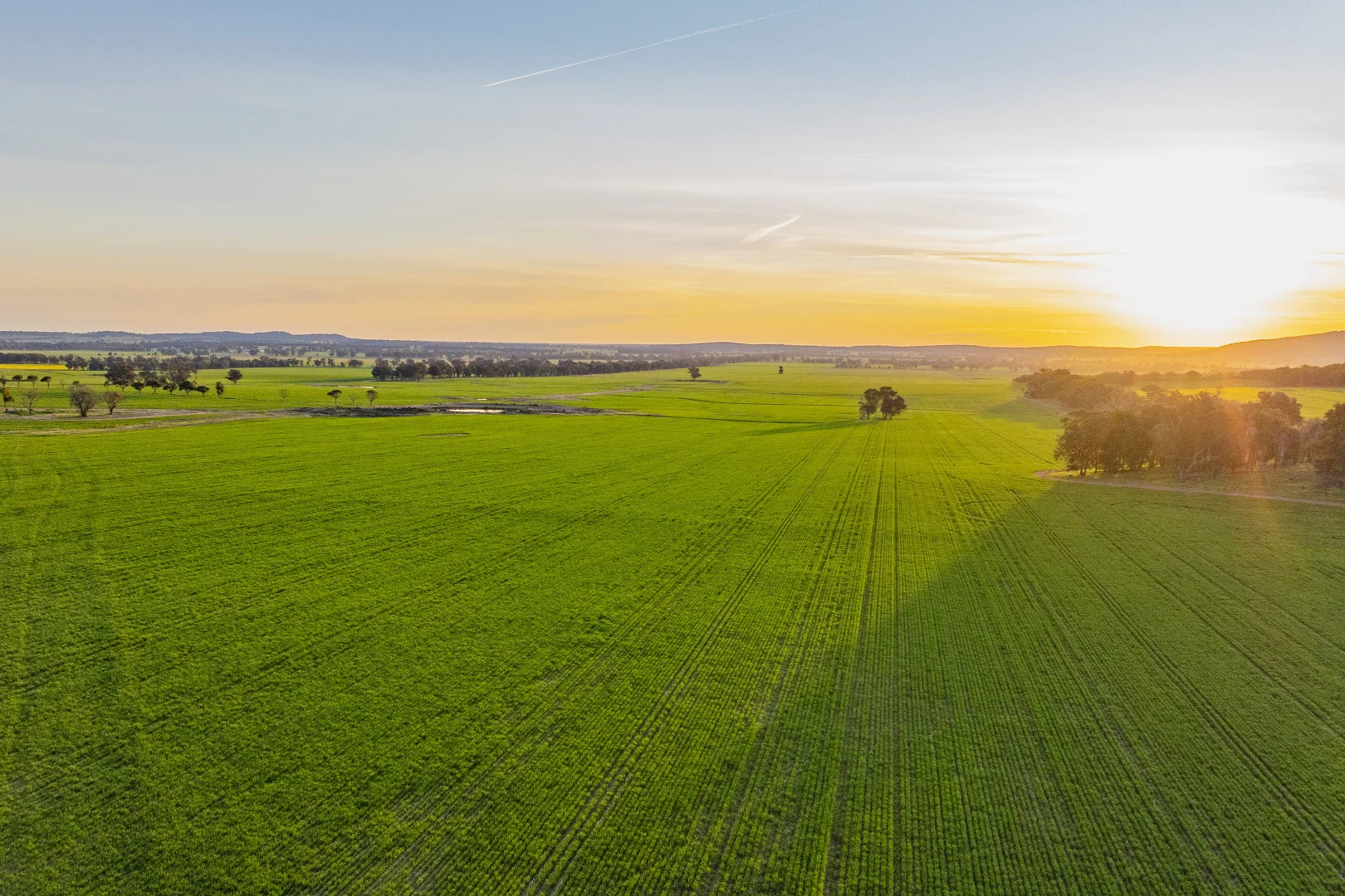 Additional image 4 of 134 Greenbergers Lane, Temora NSW 2666