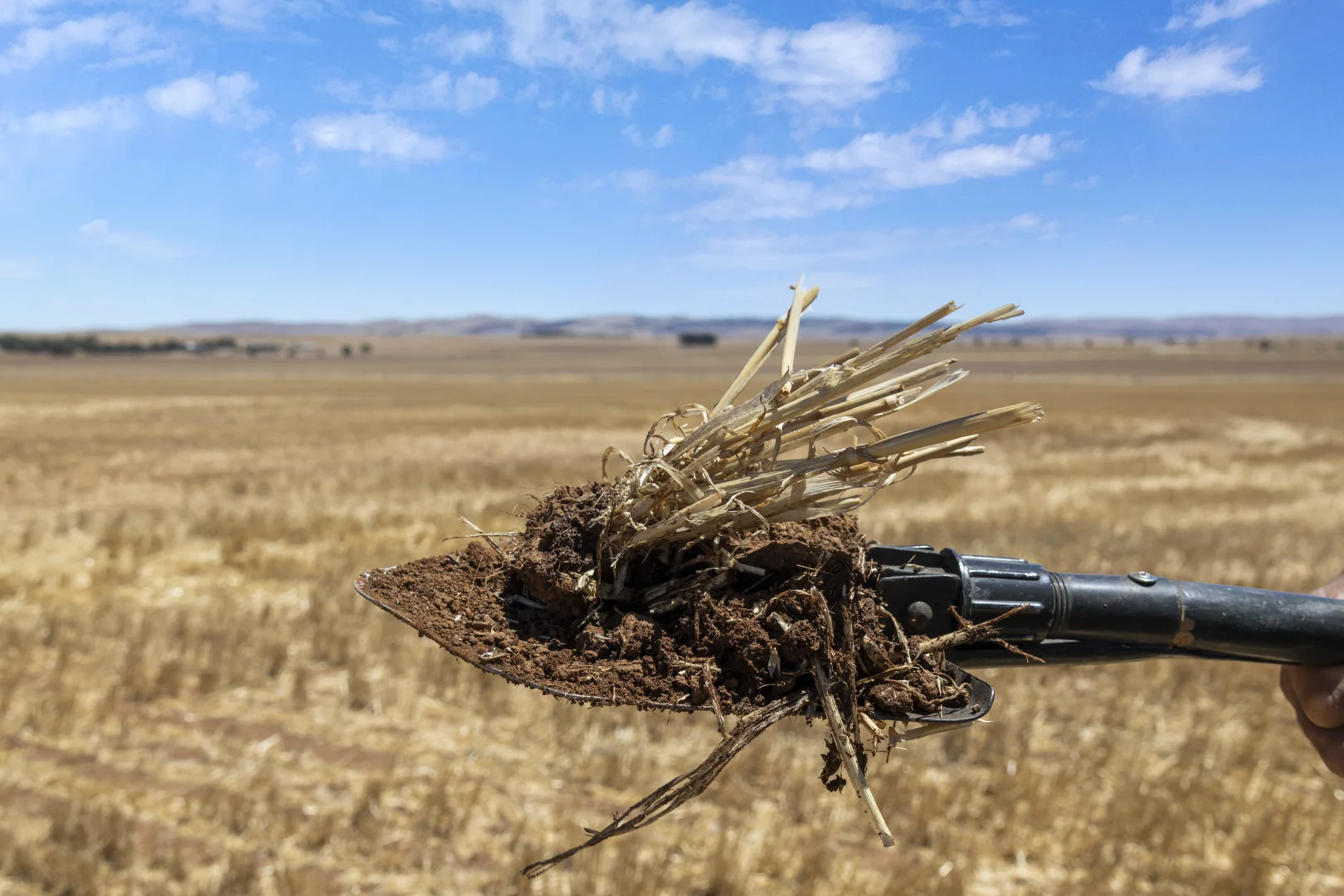 Additional image 3 of 'Klingers' Frost Road, Mannanarie SA 5422