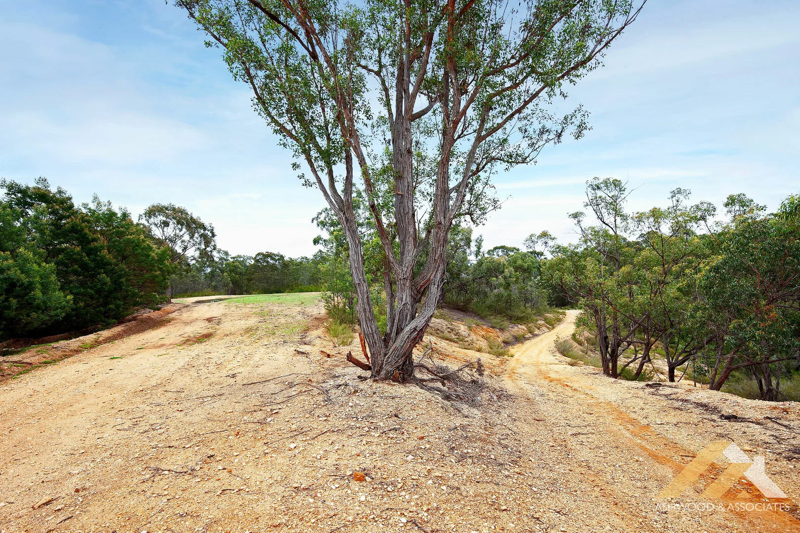 Additional image 32 of 154 Howletts Rd, Nicholson VIC 3882