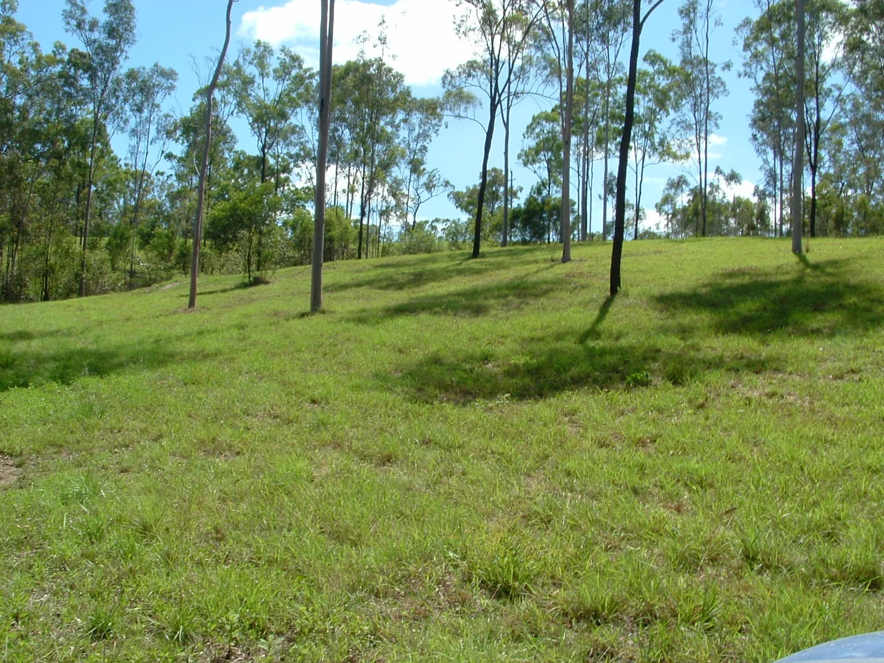 Additional image 35 of 209 Mcintyres Road, Damascus QLD 4671