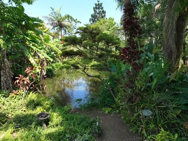 Additional image 34 of 94 Ellinjaa Road, Ellinjaa QLD 4886