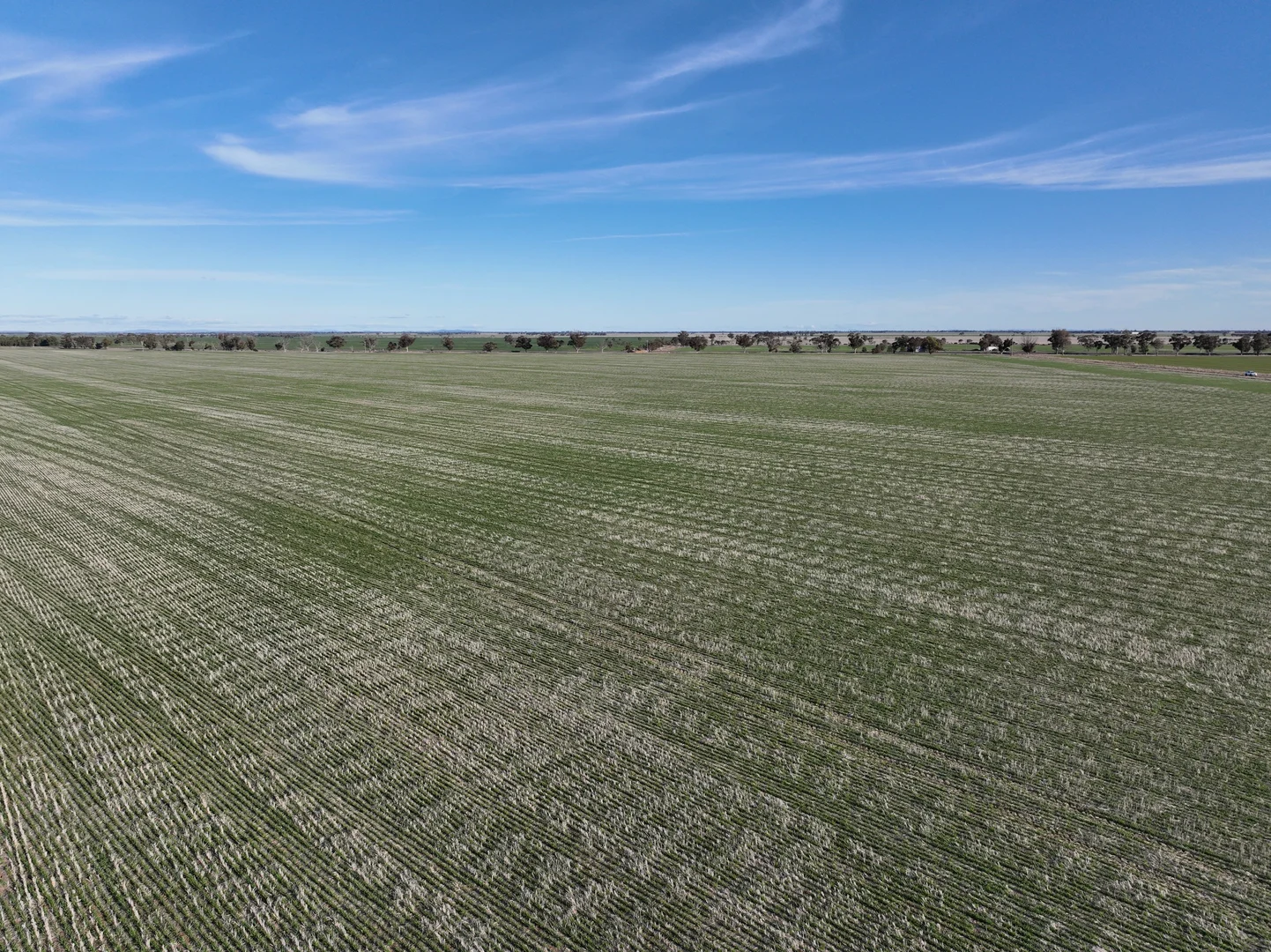 Additional image 13 of 0 Borung Highway, Jeffcott North VIC 3480