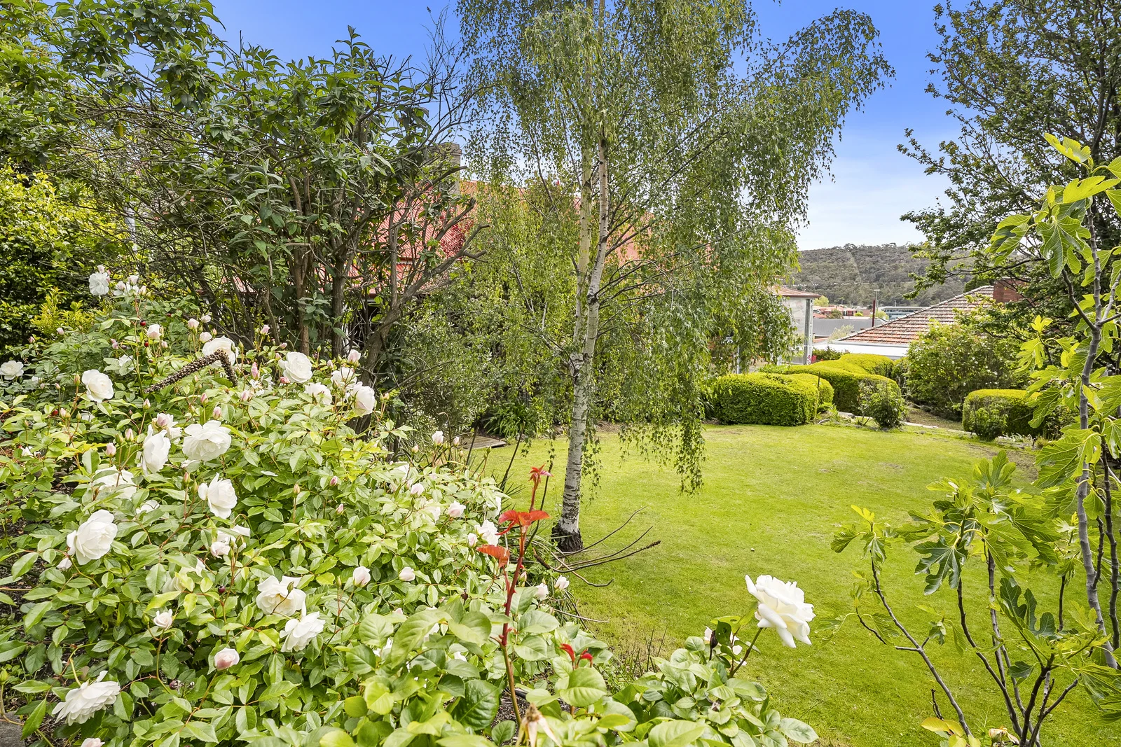 Additional image 21 of 13 Audley Street, North Hobart TAS 7000